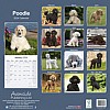 Poodle Calendar